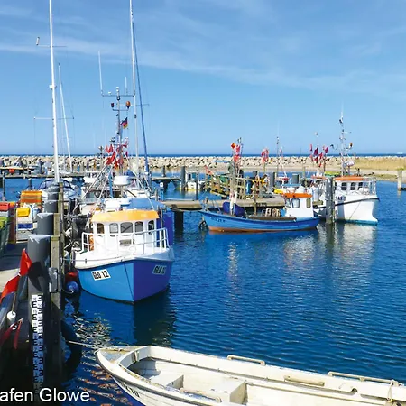 Sterntaucher Glowe