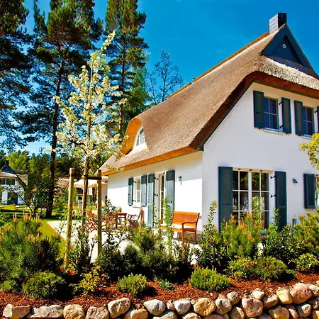 Sterntaucher * גלווה