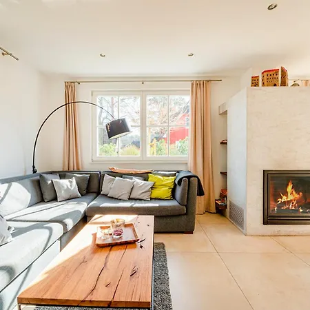 Sterntaucher גלווה